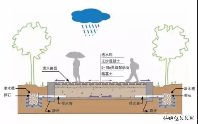 园林绿化及园林绿化施工全解