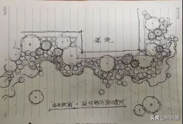 园林绿化及园林绿化施工全解