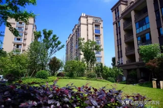园林景观中的重头设计元素——植物景观
