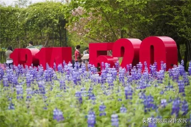 园林景观中的重头设计元素——植物景观