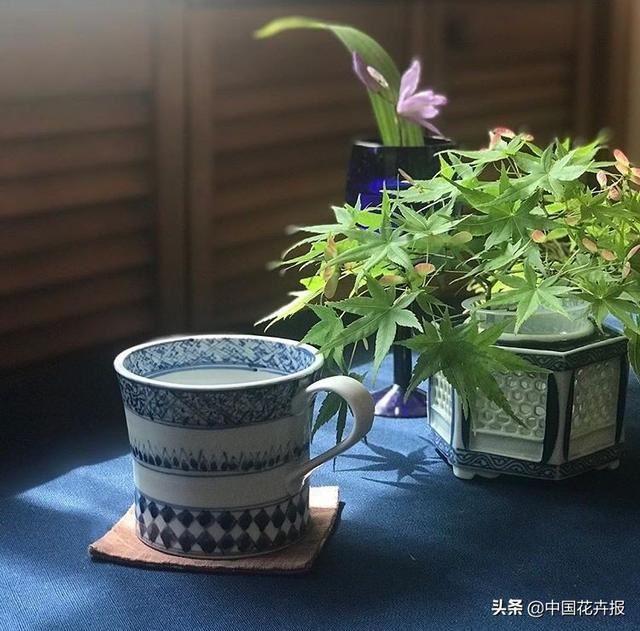 人靠衣服马靠鞍，一起来认识耐看、耐赏、有腔调的“有田烧”花器