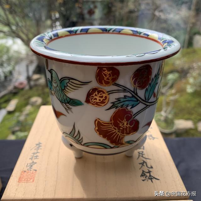 人靠衣服马靠鞍，一起来认识耐看、耐赏、有腔调的“有田烧”花器