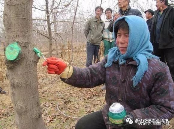 一月天更冷，园林植物管理不能停，掌握三点来年园林省不少心