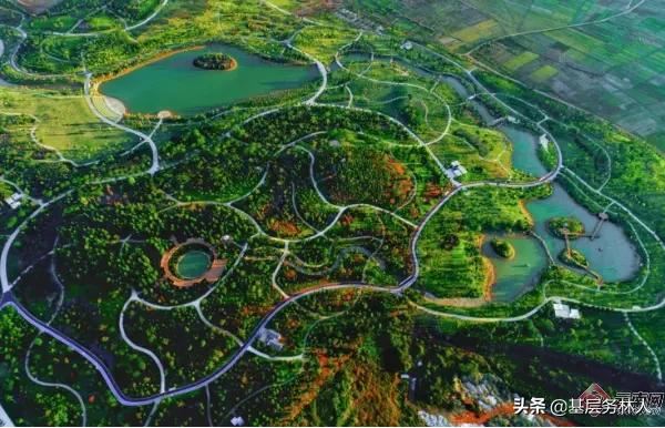 彩云之南、动植物王国云南省森林覆盖率达60.30%