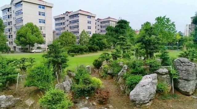 国家园林城市——钟祥上榜了