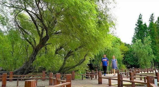 国家园林城市——钟祥上榜了