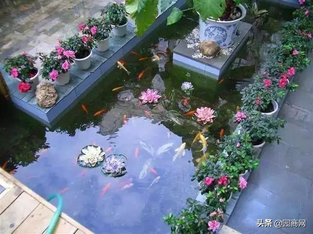  园商网 2019-12-07 19:30:00 获取更多园林绿化资讯，欢迎关注【园商网】公众号    住在拥挤的城市中，人们都会向往拥有一处自己的庭院，可以不用很大，只要温馨舒适就好。  花草树木、山石水池、配搭舒适的休闲桌椅，仿佛天然的具有治愈系因子，人与自然和谐的小景，诠释了对美以及城市生活品位的追求……  接地的私家庭院不止有花有草，还有它们 犹记得“狂风落尽深红色，绿叶成阴子满枝”，  梨树挂果、菊花飘香，  一家人围桌而坐，  心中的庭院是天涯若比邻的桃源。  接地的私家庭院不止有花有草，还有