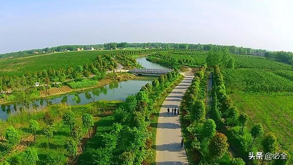 苗圃管理的大学问，做苗木的要学会