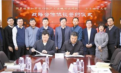 绿水青山担使命　不忘初心新征程