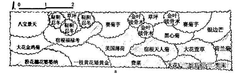 景观人植物记 | 花镜的植物选择，70种常见花镜汇总