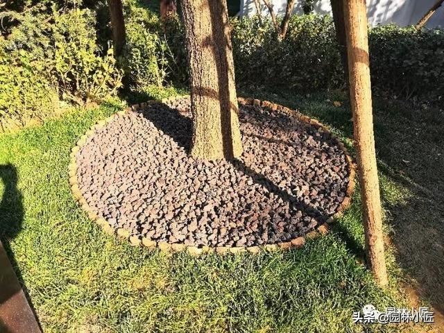 分享几种漂亮又实用的树穴处理方式，你不可错过