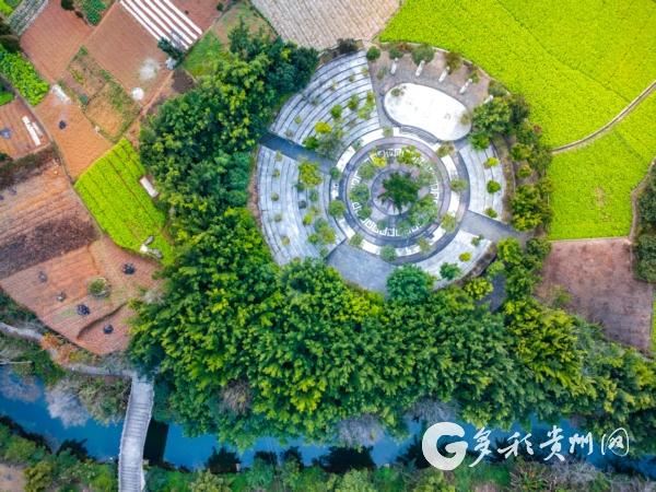 贵州兴义万峰林油菜花春节将迎来最佳观赏期