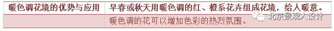 景观人植物记 | 花镜的植物选择，70种常见花镜汇总