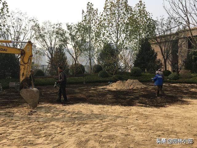 园林景观中，草坪铺植，3分钟让你可以做的更好