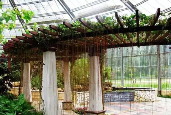 最会爬墙的26种植物，花墙、花窗、花海、花门简直完美