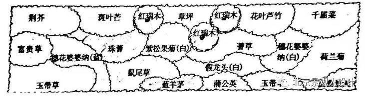 景观人植物记 | 花镜的植物选择，70种常见花镜汇总