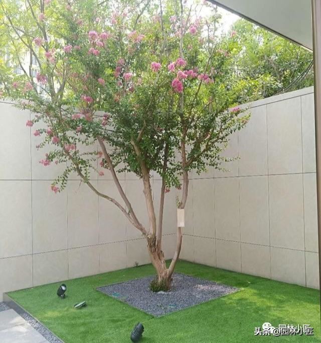 分享几种漂亮又实用的树穴处理方式，你不可错过