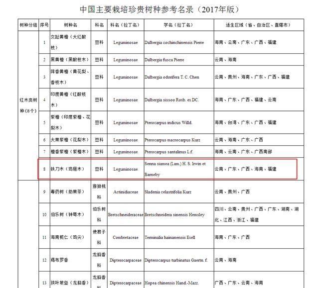 有了它，替代传统行道树的苗木不在话下