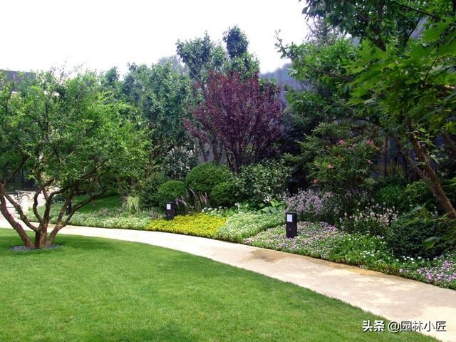 园林绿化施工中常见的问题，教你如何把控植物种植