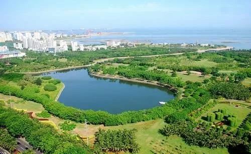 苗市行情不好，是否可以抄底了呢？