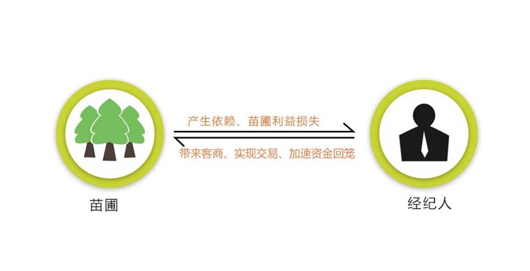 论园林苗木行业的十大关系