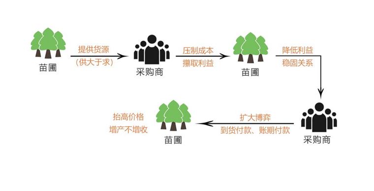论园林苗木行业的十大关系
