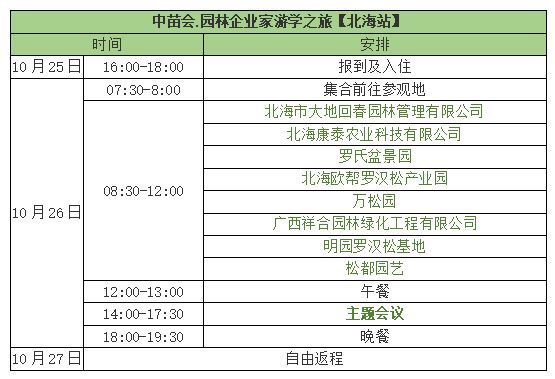 北海罗汉松苗农的致富经
