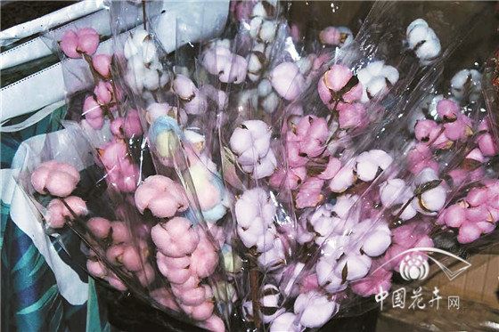 云南花价上涨品质难如意
