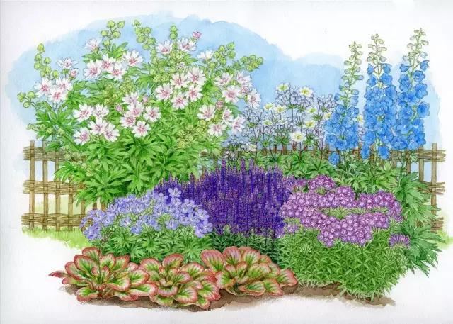 花境设计：36款花境设计平面图欣赏（建议收藏）
