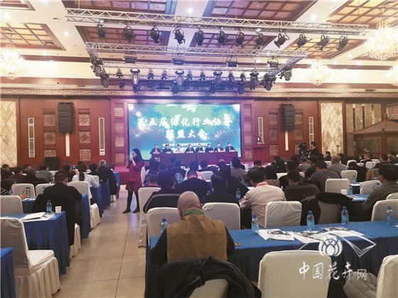 园林苗木同行齐聚保定论产业升级第五届绿化行业协会联盟大会召开 