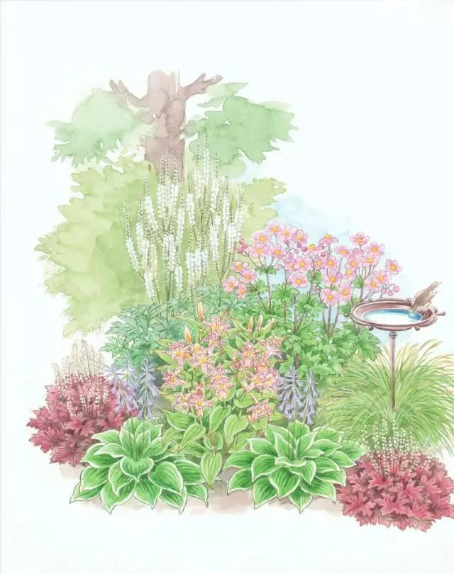 花境设计：36款花境设计平面图欣赏（建议收藏）