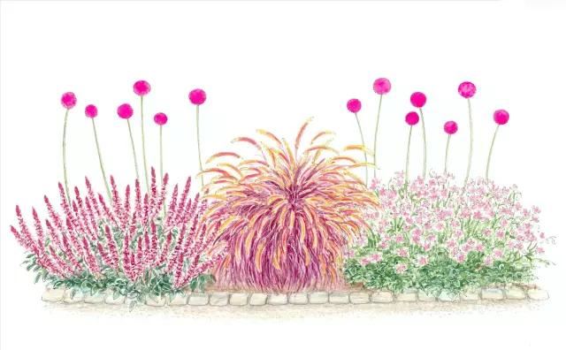 花境设计：36款花境设计平面图欣赏（建议收藏）