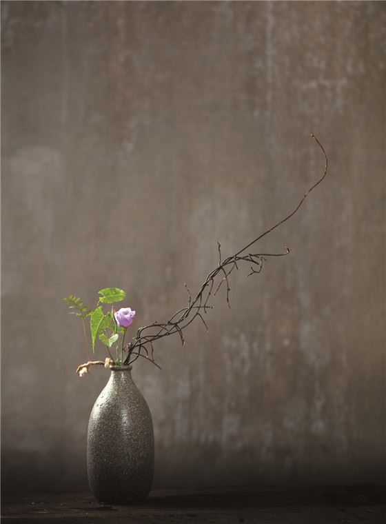 【采薇专栏】 一茶一花一时光 