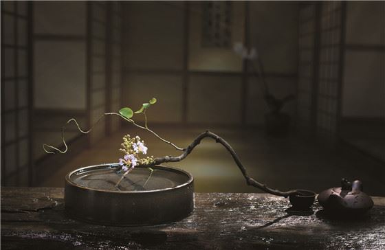 【采薇专栏】 一茶一花一时光 
