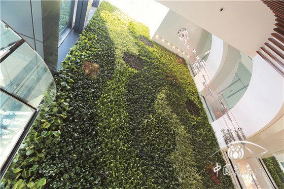 漫谈种植毯植物墙的施工 