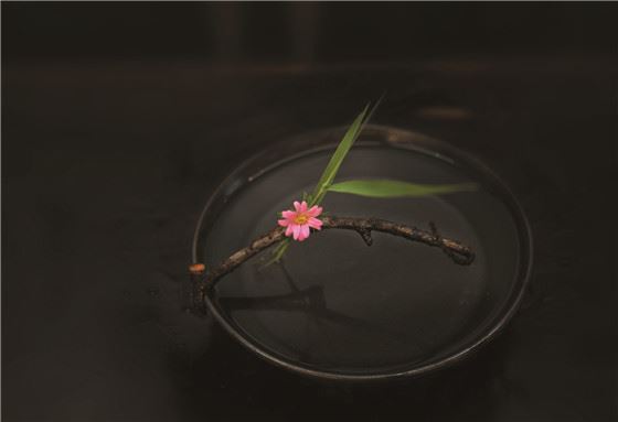 【采薇专栏】 一茶一花一时光 