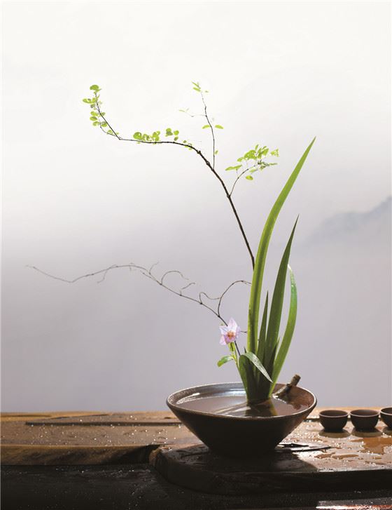 【采薇专栏】 一茶一花一时光 