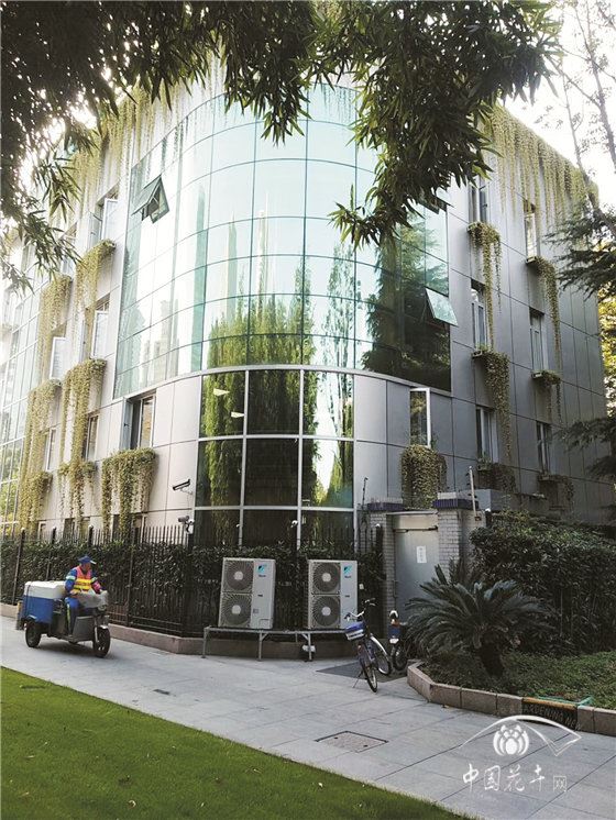 中高层建筑外墙体轻型绿化将成为我国城市建设的新景观（下） 