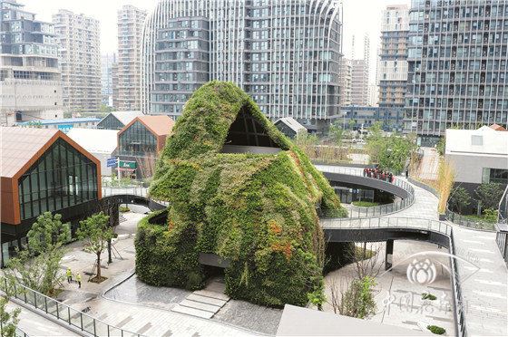 漫谈种植毯植物墙的施工 