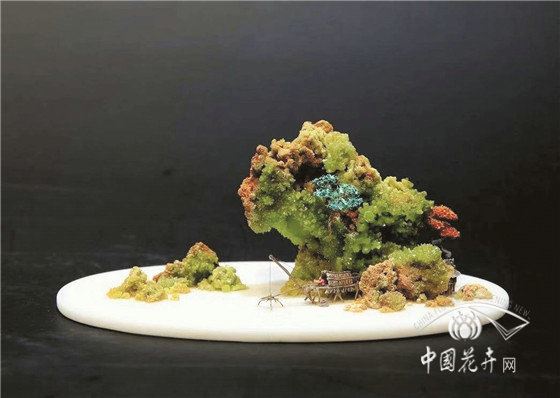 首届海派赏石·山水盆景迎新春展即将开幕 