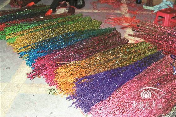 云南花价上涨品质难如意