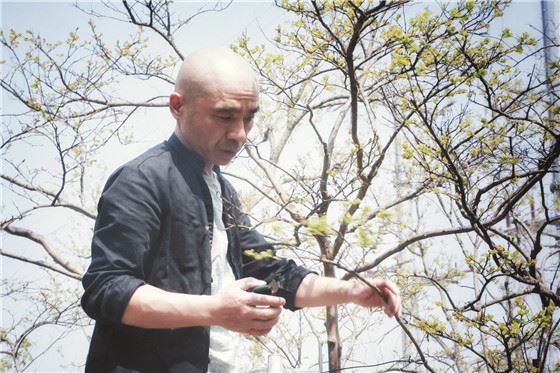园艺嘉年华之后，他们都在玩些什么？