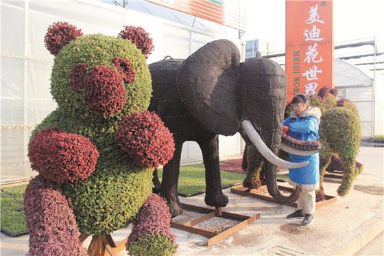 园艺嘉年华之后，他们都在玩些什么？
