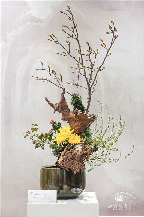 是她，也是中国花艺界的辉煌60年！ 蔡仲娟插花艺术60周年展上海举办 