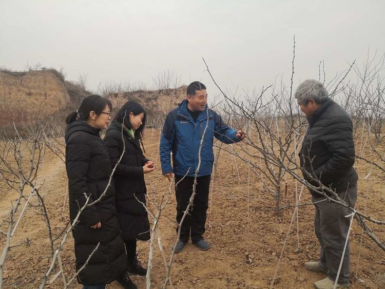 新年新征程，整装蓄势再出发——西安市临潼区林业局林业工作站迅速开启新一年工作