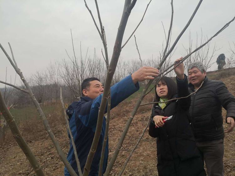 新年新征程，整装蓄势再出发——西安市临潼区林业局林业工作站迅速开启新一年工作