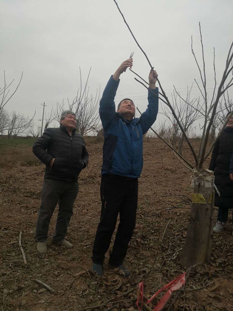 新年新征程，整装蓄势再出发——西安市临潼区林业局林业工作站迅速开启新一年工作