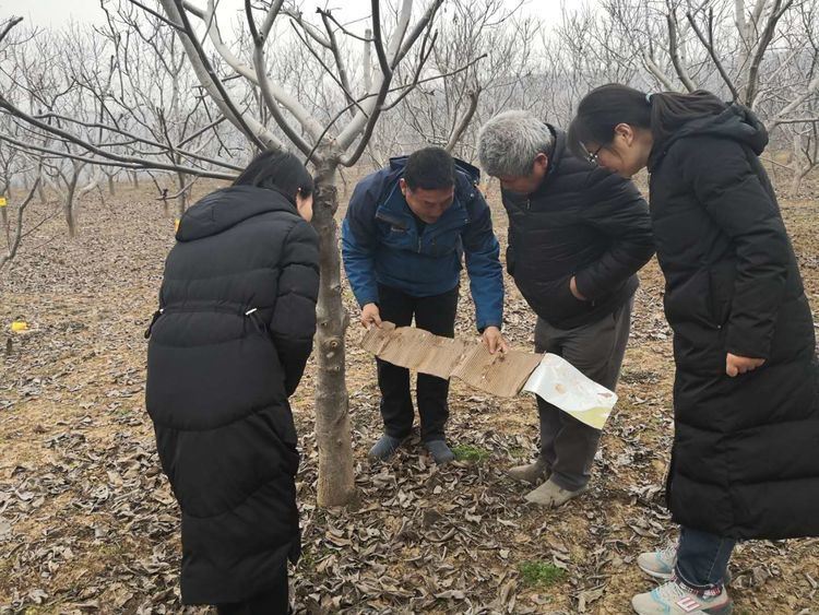 新年新征程，整装蓄势再出发——西安市临潼区林业局林业工作站迅速开启新一年工作