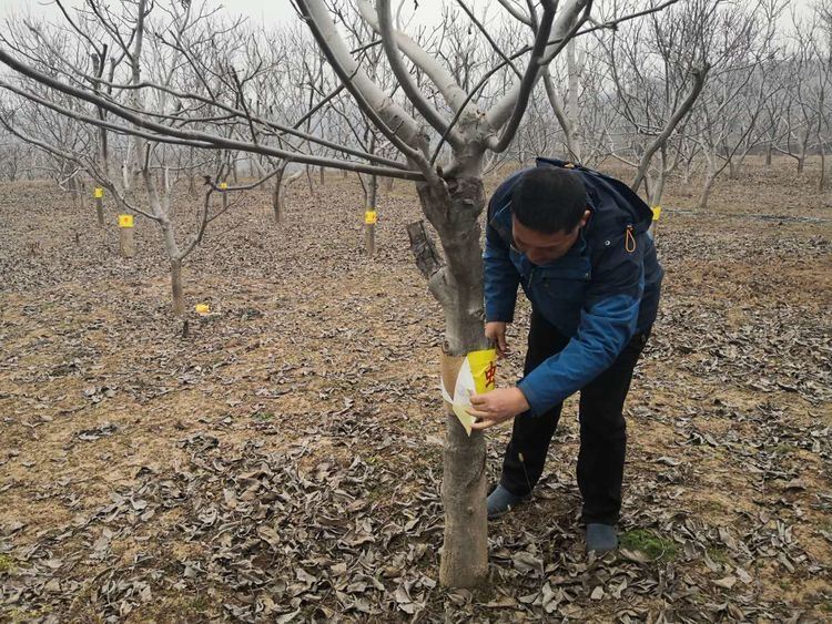 新年新征程，整装蓄势再出发——西安市临潼区林业局林业工作站迅速开启新一年工作