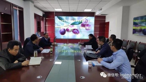 甘肃省陇南市林果（林木种苗、油橄榄）产业助推脱贫攻坚成果汇编启动会召开